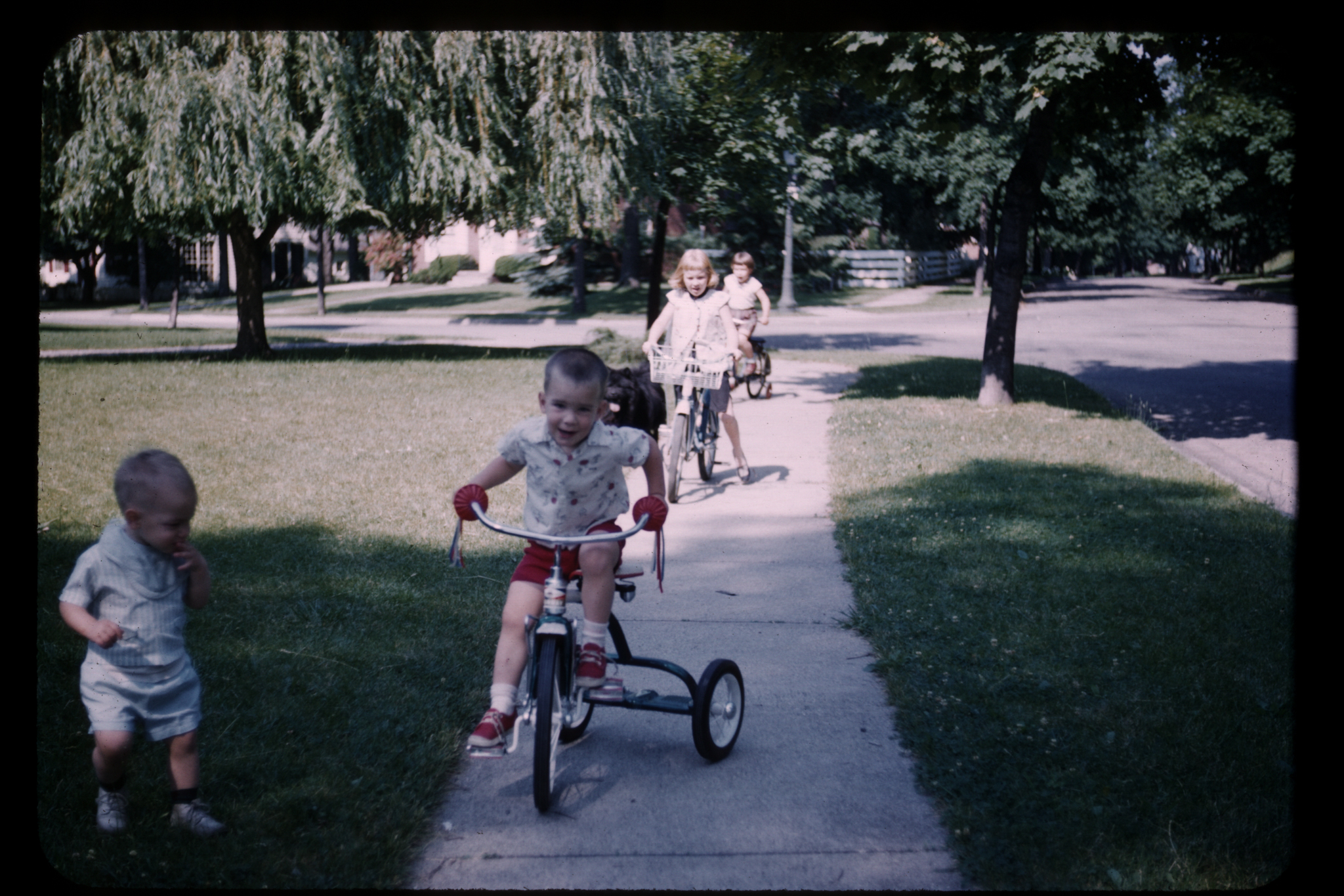 john_nearly_3_and_his_new_trike.jpg